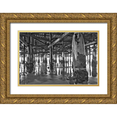 Pier Pilings XI Gold Ornate Wood Framed Art Print with Double Matting by Peterson, Lee