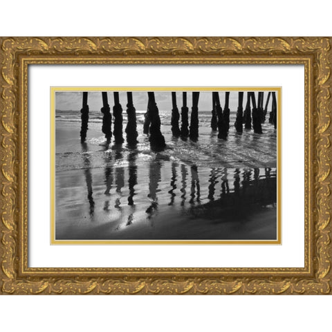 Pier Pilings XIII Gold Ornate Wood Framed Art Print with Double Matting by Peterson, Lee