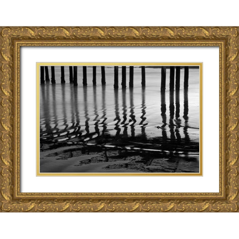 Pier Pilings XIV Gold Ornate Wood Framed Art Print with Double Matting by Peterson, Lee