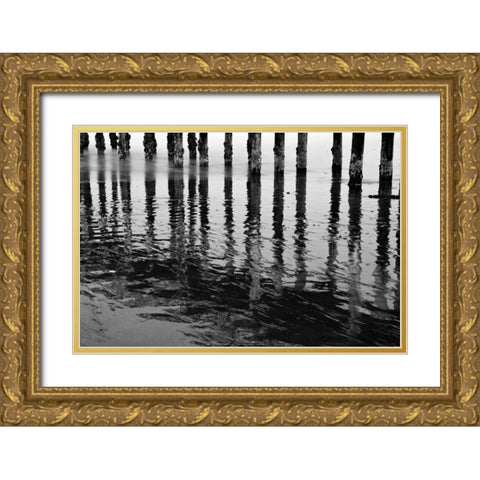 Pier Pilings XV Gold Ornate Wood Framed Art Print with Double Matting by Peterson, Lee