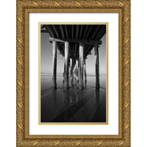 Pier Pilings XVI Gold Ornate Wood Framed Art Print with Double Matting by Peterson, Lee