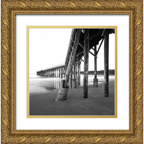 Pier Pilings XIX Gold Ornate Wood Framed Art Print with Double Matting by Peterson, Lee