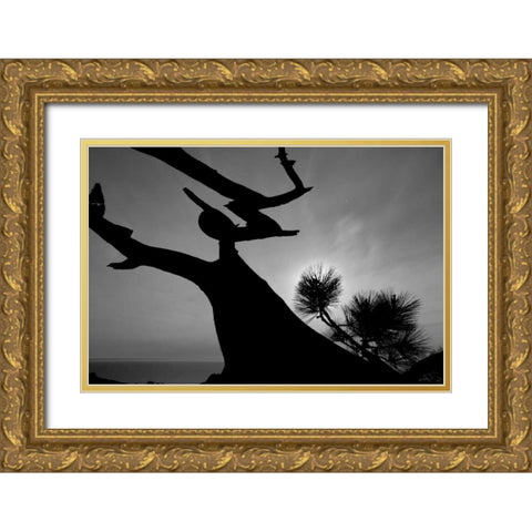 Tree I Gold Ornate Wood Framed Art Print with Double Matting by Peterson, Lee