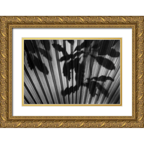 Shadow III Gold Ornate Wood Framed Art Print with Double Matting by Peterson, Lee