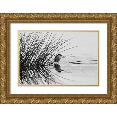 Bird I Gold Ornate Wood Framed Art Print with Double Matting by Peterson, Lee