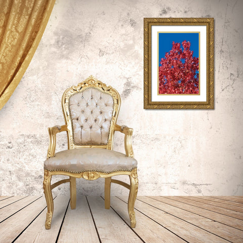 Fall Leaves IV Gold Ornate Wood Framed Art Print with Double Matting by Peterson, Lee