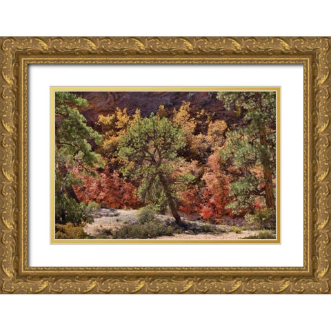 Fall Leaves V Gold Ornate Wood Framed Art Print with Double Matting by Peterson, Lee