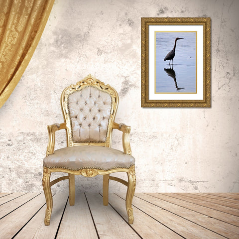 Bird IV Gold Ornate Wood Framed Art Print with Double Matting by Peterson, Lee