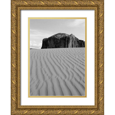 Sand Dune Gold Ornate Wood Framed Art Print with Double Matting by Peterson, Lee