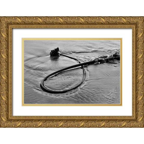 Seaweed Gold Ornate Wood Framed Art Print with Double Matting by Peterson, Lee