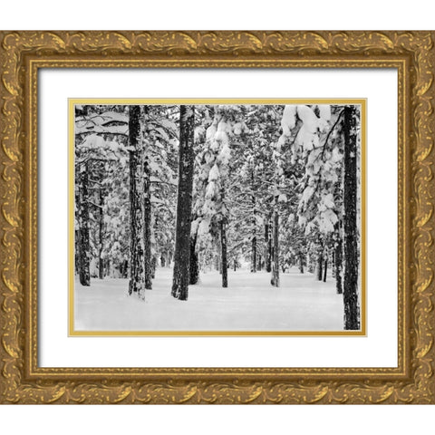 Tree II Gold Ornate Wood Framed Art Print with Double Matting by Peterson, Lee