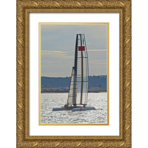 Americas Cup II Gold Ornate Wood Framed Art Print with Double Matting by Peterson, Lee
