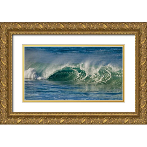 Ocean Waves I Gold Ornate Wood Framed Art Print with Double Matting by Peterson, Lee