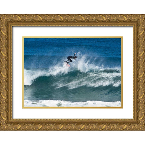 Surfing III Gold Ornate Wood Framed Art Print with Double Matting by Peterson, Lee