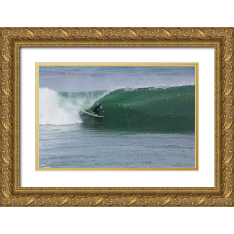 Surfing VI Gold Ornate Wood Framed Art Print with Double Matting by Peterson, Lee