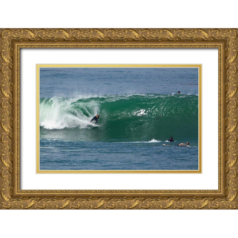 Surfing VIII Gold Ornate Wood Framed Art Print with Double Matting by Peterson, Lee