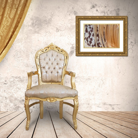 Horse Up Close II Gold Ornate Wood Framed Art Print with Double Matting by Peterson, Lee