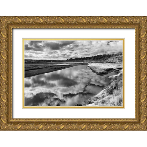 Infrared Reflections Gold Ornate Wood Framed Art Print with Double Matting by Peterson, Lee
