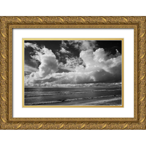 Clouds at the Beach Gold Ornate Wood Framed Art Print with Double Matting by Peterson, Lee