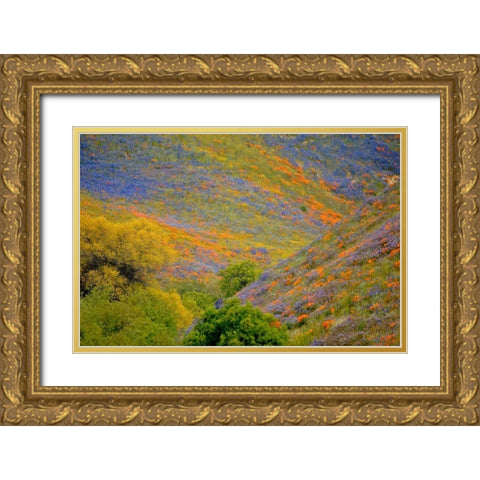 Wildflower Hills II Gold Ornate Wood Framed Art Print with Double Matting by Peterson, Lee