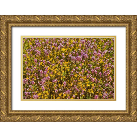 Yellow and Purple Gold Ornate Wood Framed Art Print with Double Matting by Peterson, Lee