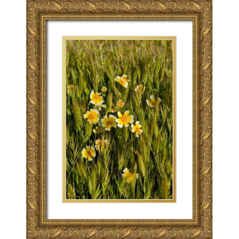 Yellow and White III Gold Ornate Wood Framed Art Print with Double Matting by Peterson, Lee