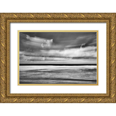Beach in Motion BW Gold Ornate Wood Framed Art Print with Double Matting by Peterson, Lee