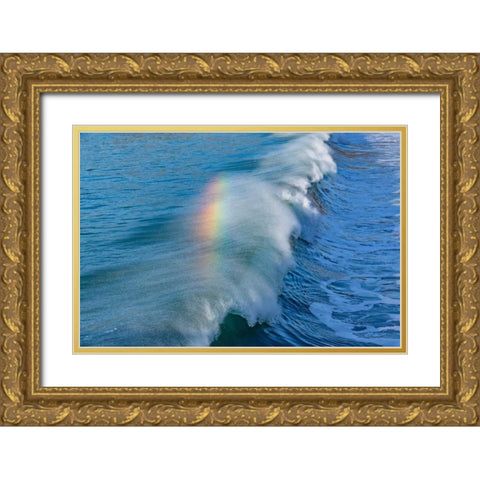 Rainbow Wave II Gold Ornate Wood Framed Art Print with Double Matting by Peterson, Lee