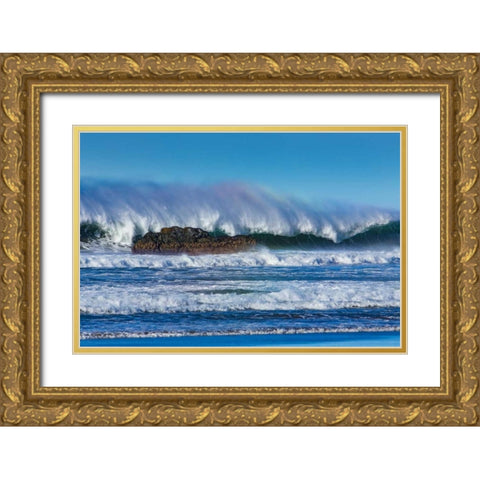 Waves in Cayucos I Gold Ornate Wood Framed Art Print with Double Matting by Peterson, Lee