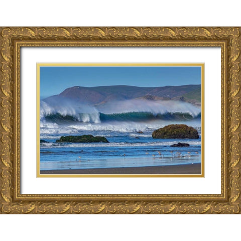 Waves in Cayucos II Gold Ornate Wood Framed Art Print with Double Matting by Peterson, Lee