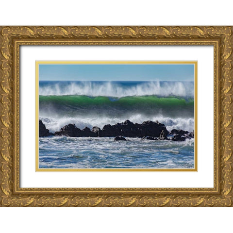 North Cayucos II Gold Ornate Wood Framed Art Print with Double Matting by Peterson, Lee