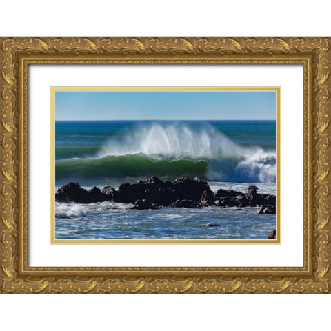 North Cayucos III Gold Ornate Wood Framed Art Print with Double Matting by Peterson, Lee