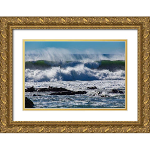 North Cayucos V Gold Ornate Wood Framed Art Print with Double Matting by Peterson, Lee