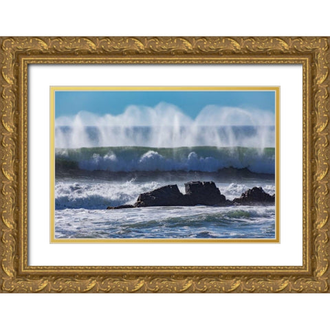 North Cayucos VI Gold Ornate Wood Framed Art Print with Double Matting by Peterson, Lee