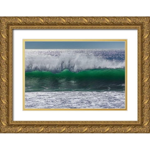 North Cayucos VII Gold Ornate Wood Framed Art Print with Double Matting by Peterson, Lee