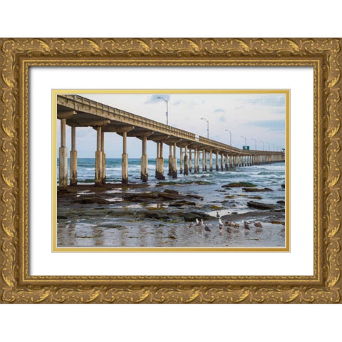 Ocean Beach Pier I Gold Ornate Wood Framed Art Print with Double Matting by Peterson, Lee