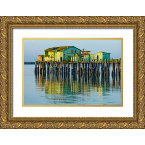 Half Moon Bay Pier Gold Ornate Wood Framed Art Print with Double Matting by Peterson, Lee