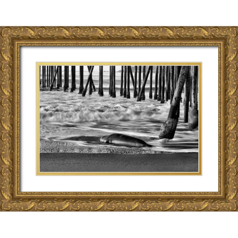 San Simeon Pier BW Gold Ornate Wood Framed Art Print with Double Matting by Peterson, Lee