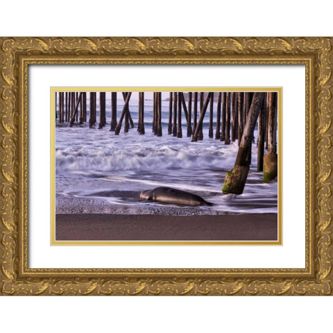 San Simeon Pier I Gold Ornate Wood Framed Art Print with Double Matting by Peterson, Lee