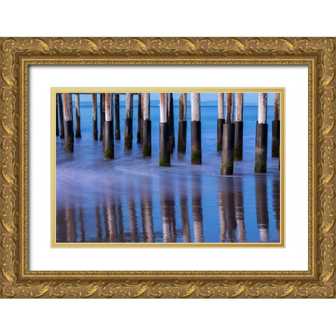 Ventura Pier Reflections II Gold Ornate Wood Framed Art Print with Double Matting by Peterson, Lee