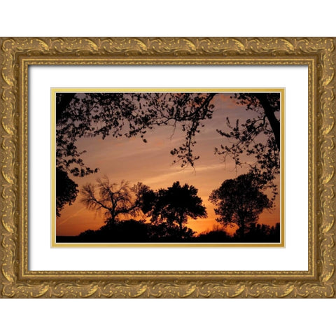Unity Sunset Gold Ornate Wood Framed Art Print with Double Matting by Putman, Tammy