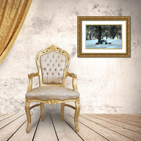 Bench III Gold Ornate Wood Framed Art Print with Double Matting by Putman, Tammy