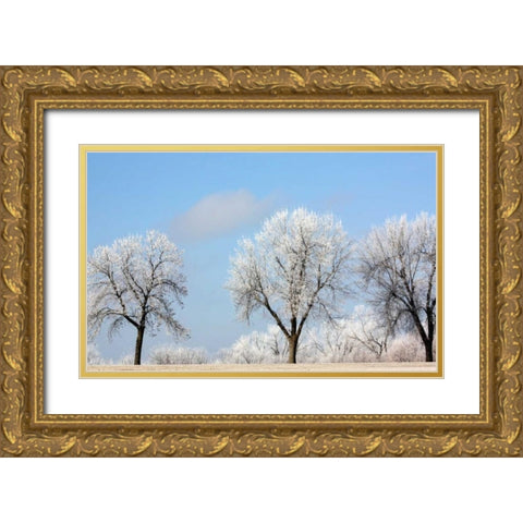 Frozen Fog I Gold Ornate Wood Framed Art Print with Double Matting by Putman, Tammy