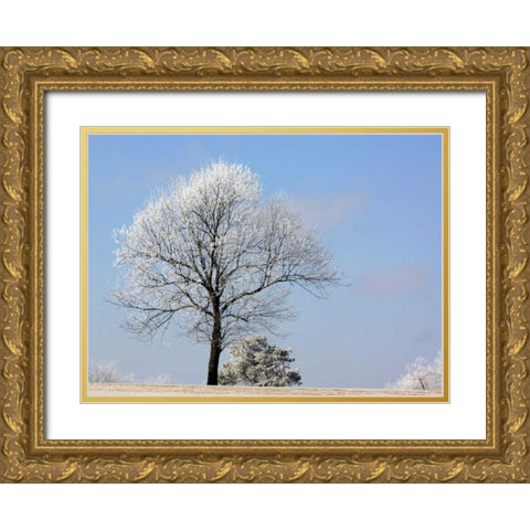 Frozen Fog II Gold Ornate Wood Framed Art Print with Double Matting by Putman, Tammy