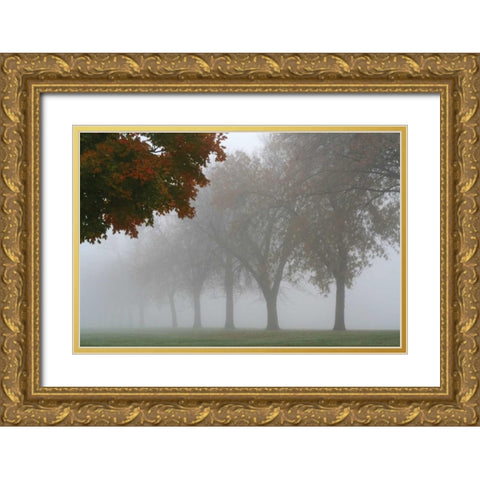 Foggy Trees I Gold Ornate Wood Framed Art Print with Double Matting by Putman, Tammy