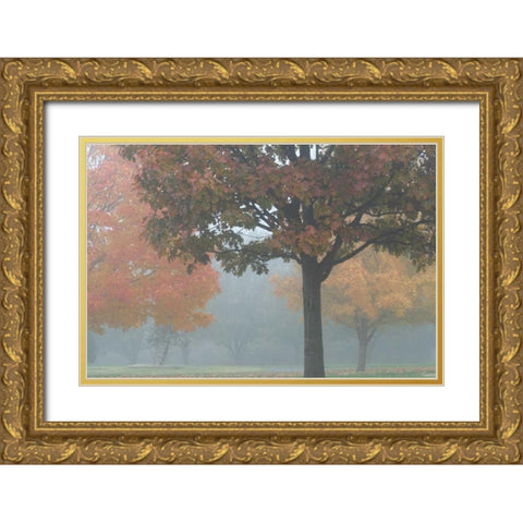 Foggy Trees II Gold Ornate Wood Framed Art Print with Double Matting by Putman, Tammy