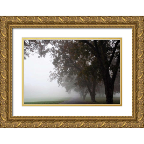 Foggy Trees III Gold Ornate Wood Framed Art Print with Double Matting by Putman, Tammy