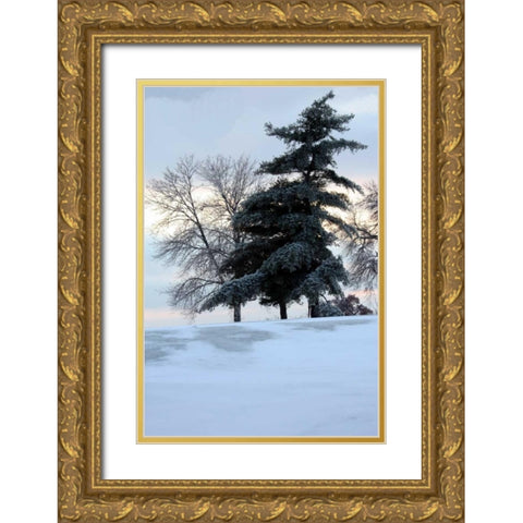 Tree in Snow II Gold Ornate Wood Framed Art Print with Double Matting by Putman, Tammy