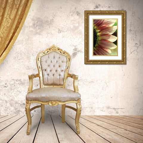Sunflower IV Gold Ornate Wood Framed Art Print with Double Matting by Putman, Tammy