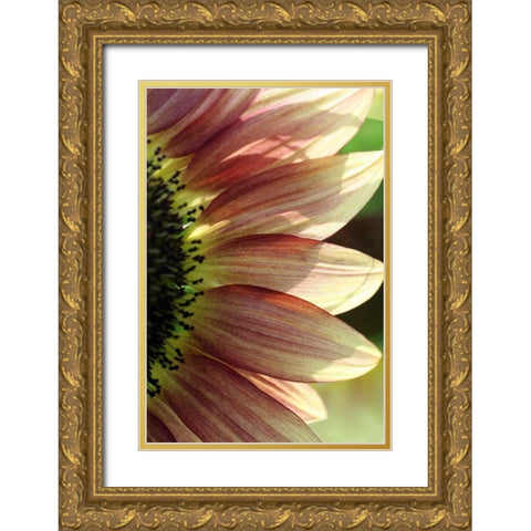 Sunflower IV Gold Ornate Wood Framed Art Print with Double Matting by Putman, Tammy